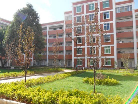 云南盛翔----------安寧市縣街學(xué)校校安工程