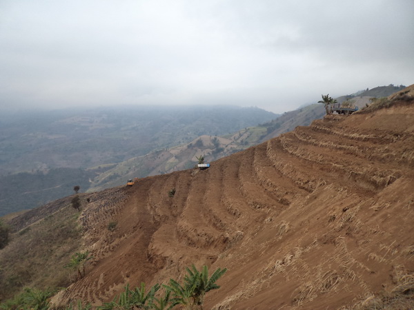 紅河州元陽縣南沙鎮(zhèn)石頭寨村土地整治（補充耕地）項目