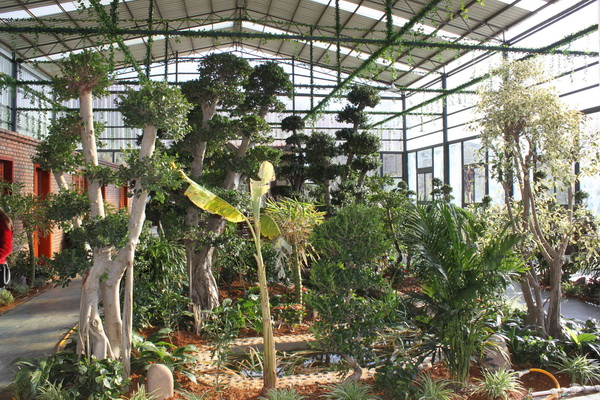 云南潤益農(nóng)業(yè)公司大石莊林地歡迎您