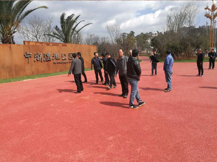 寧湖新城管委會(huì)王副主任組織相關(guān)領(lǐng)導(dǎo)到我司監(jiān)理的安寧市寧湖公園及寧湖濕地公園視察