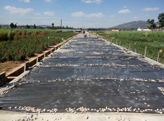 2015年國家農業(yè)綜合開發(fā)存量資金土地治理項目云南省安寧市八街街道辦事處高標準農田建設項目??