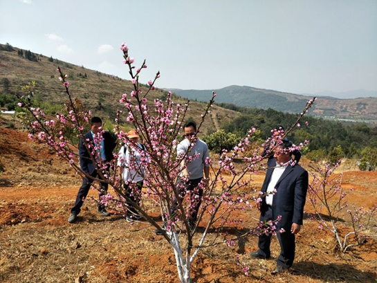 湯郎鄉(xiāng)人大主席張寧同志帶領(lǐng)典文村兩委同志到云南潤益農(nóng)業(yè)開發(fā)有限公司參觀學(xué)習(xí)