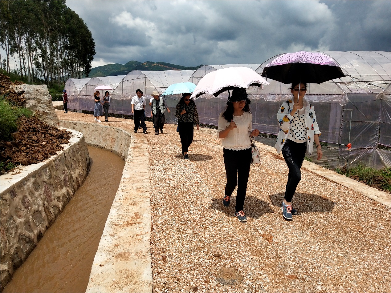 2017年云南省昆明安寧市八街枧槽營片區(qū)高標(biāo)準(zhǔn)農(nóng)田建設(shè)工程項目通過安寧市初步驗收