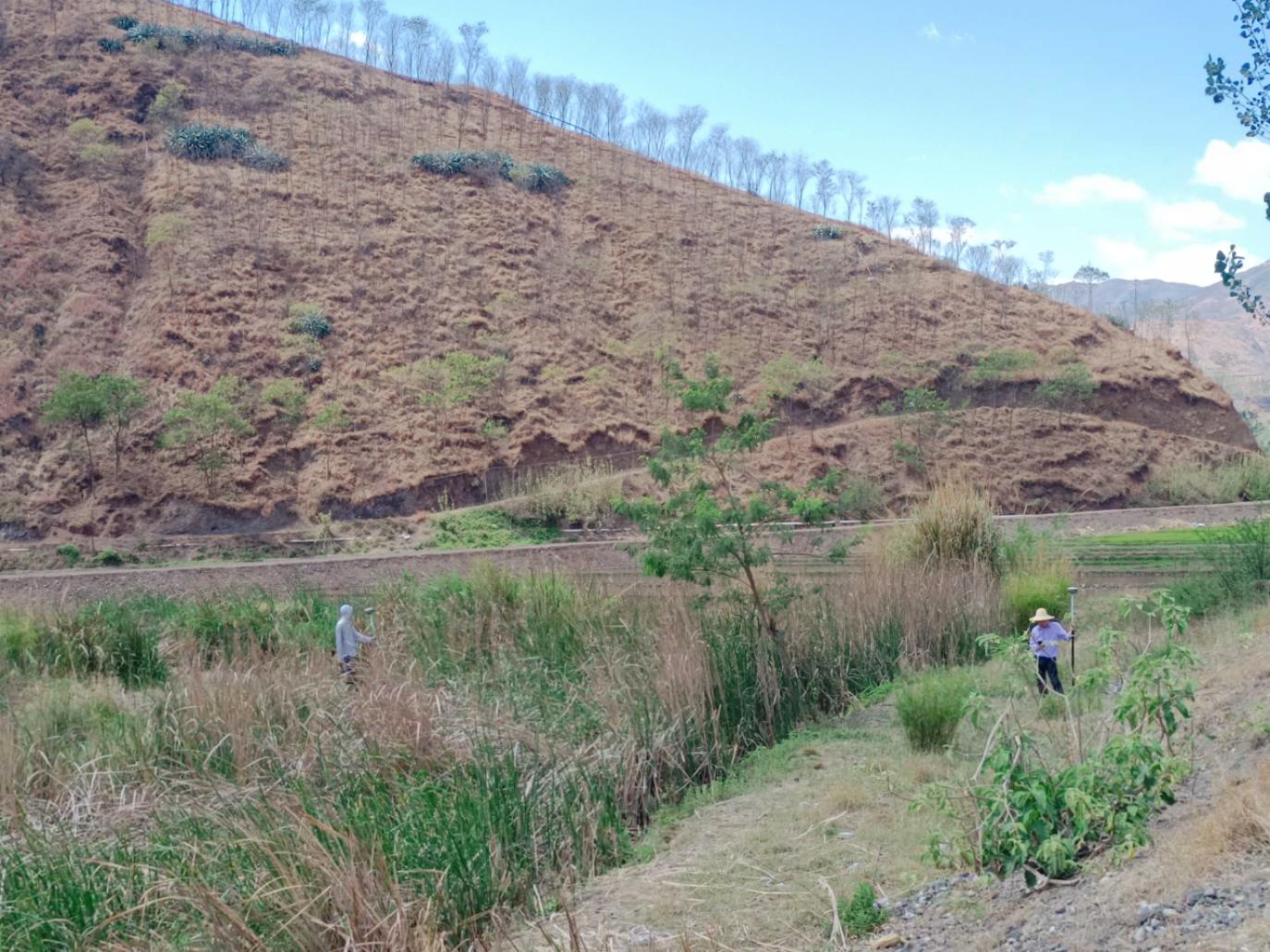 銅都街道農(nóng)業(yè)產(chǎn)業(yè)園建設(shè)項目EPC總承包