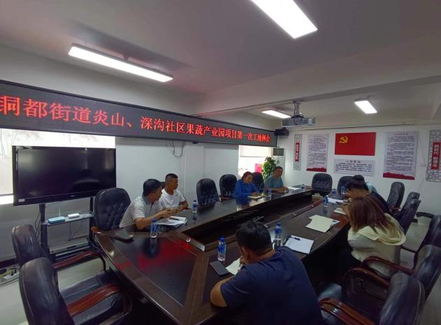 銅都街道炎山、深溝社區(qū)果蔬產(chǎn)業(yè)園建設(shè)項(xiàng)目