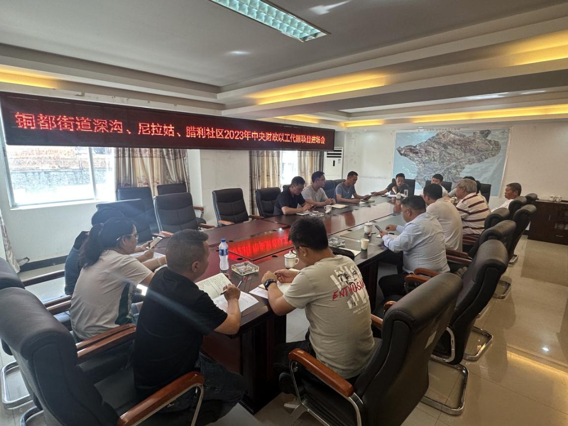 東川區(qū)銅都街道深溝、尼拉姑、臘利社區(qū) 2023年中央財(cái)政以工代賑項(xiàng)目