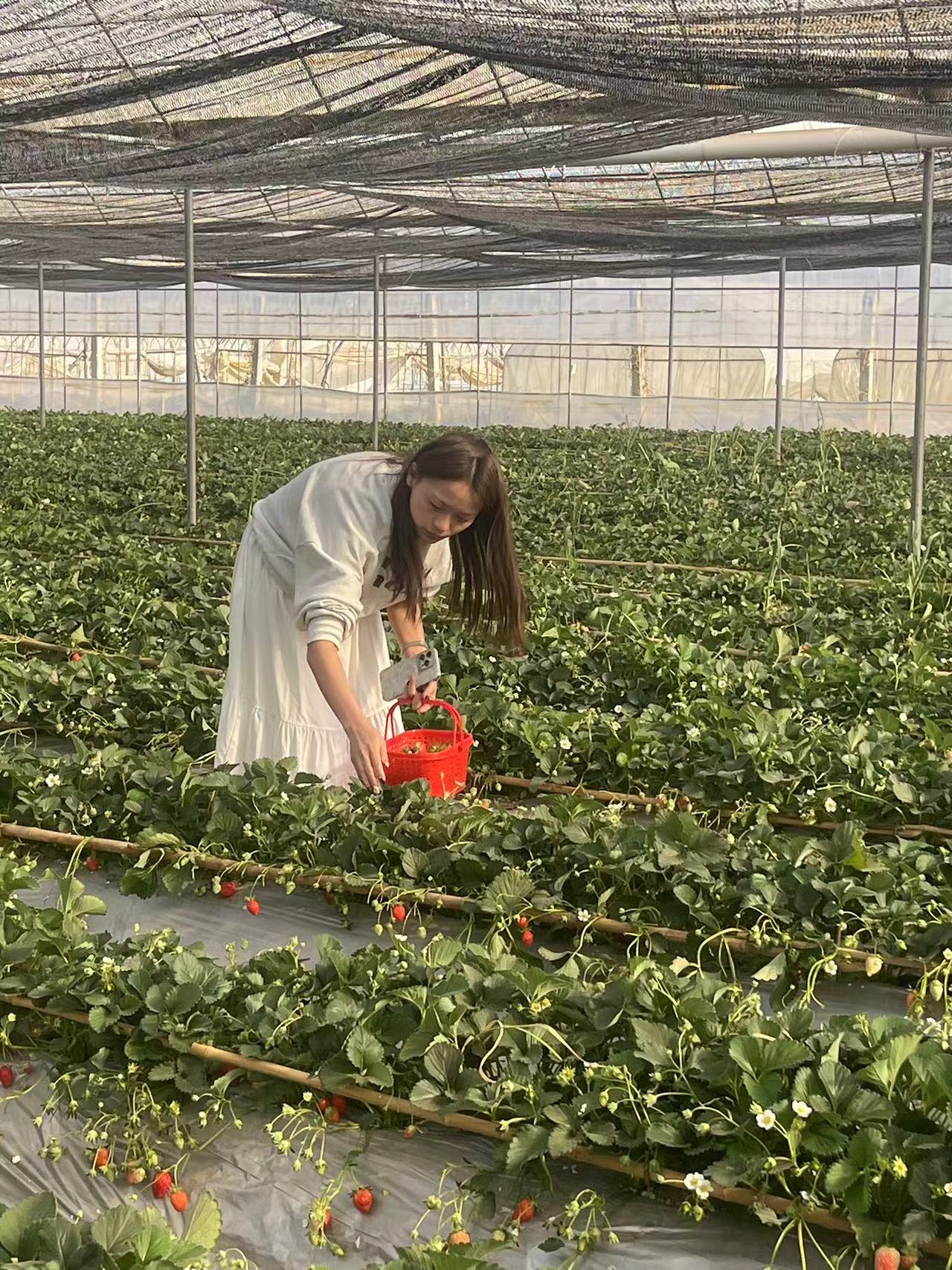 采擷春去 向“莓”好出發(fā) ——慶?!叭恕眹H勞動婦女節(jié)暨主題黨日活動