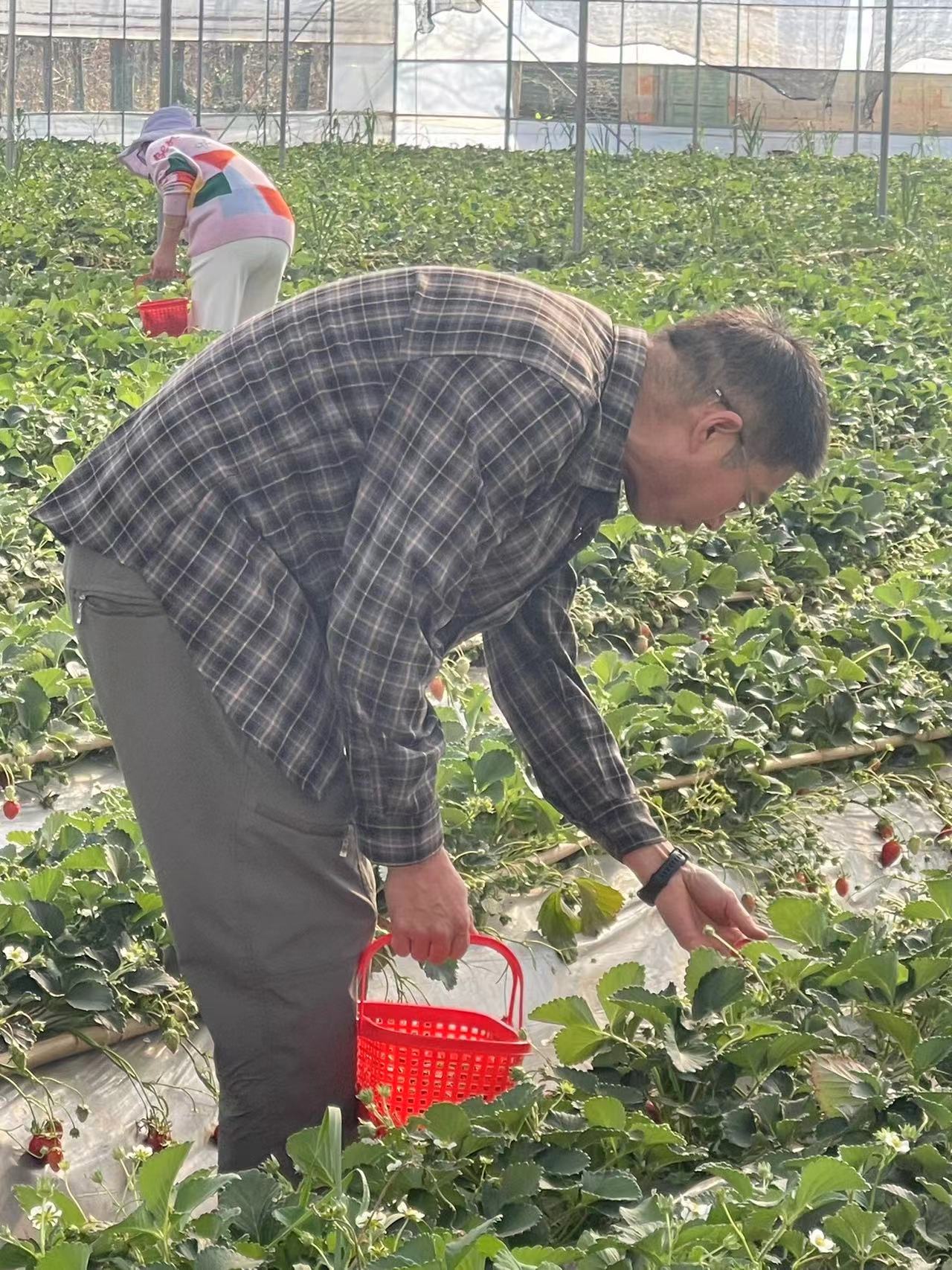 采擷春去 向“莓”好出發(fā) ——慶?!叭恕眹H勞動婦女節(jié)暨主題黨日活動