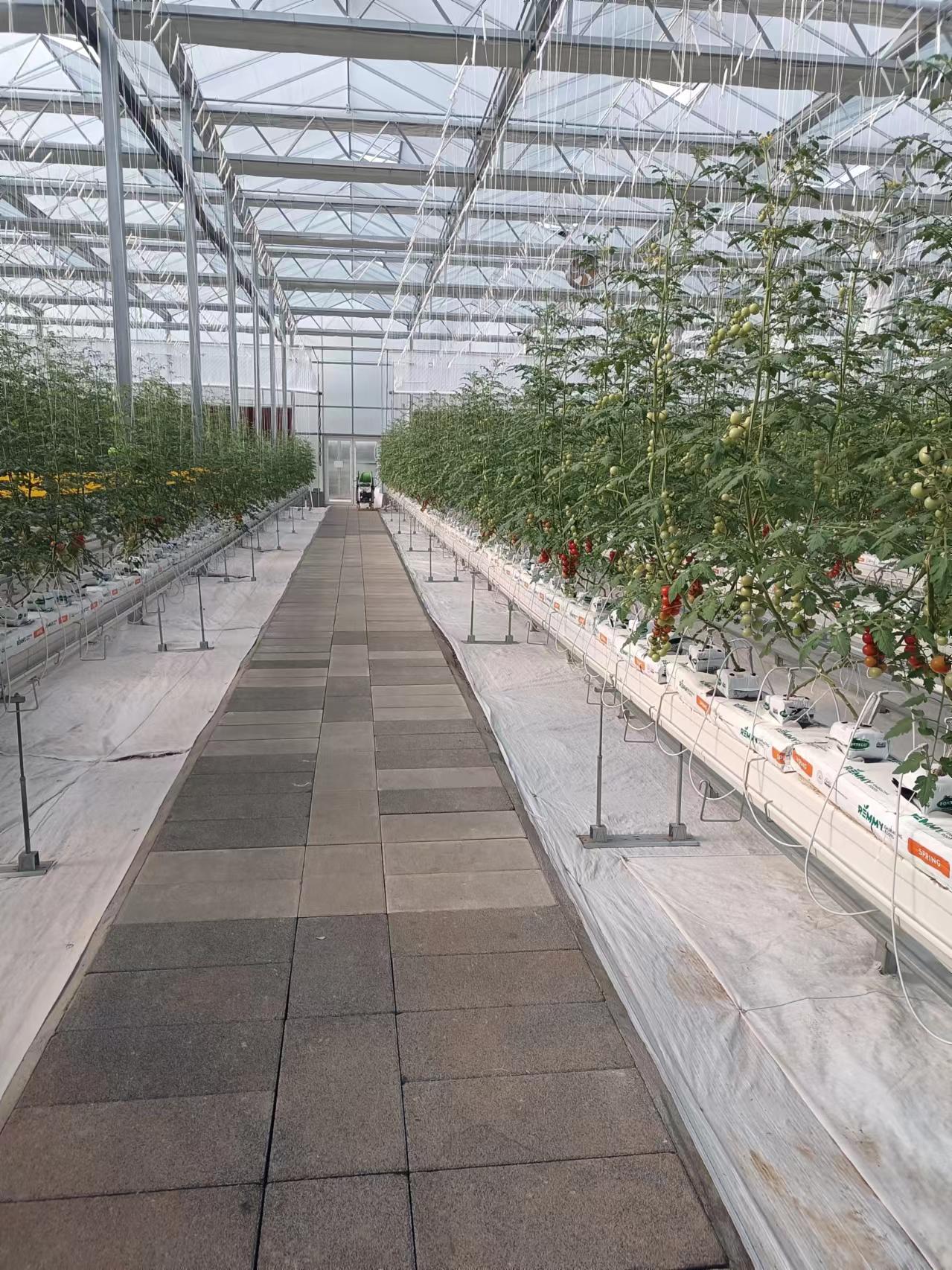 銅都街道炎山、深溝社區(qū)果蔬產(chǎn)業(yè)園建設(shè)項(xiàng)目