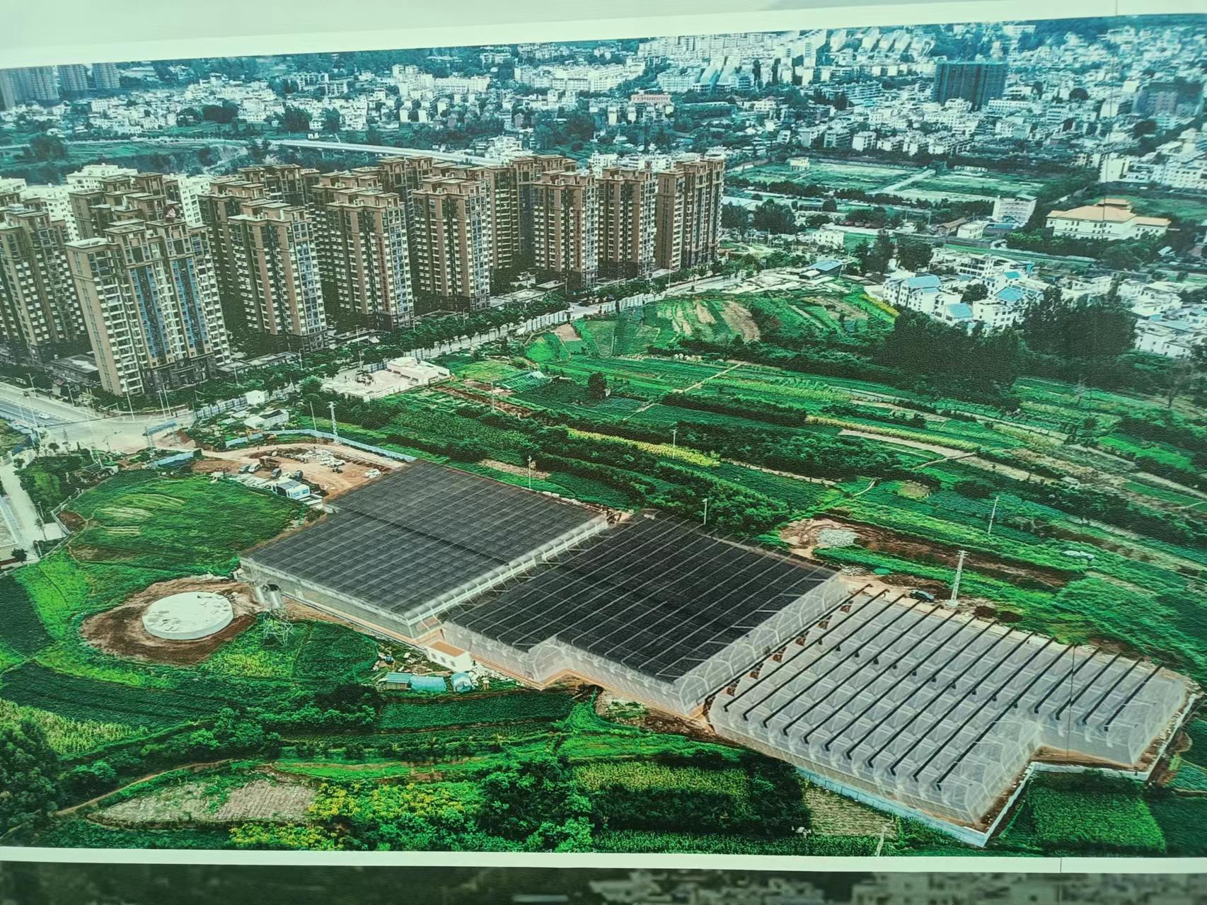 銅都街道炎山、深溝社區(qū)果蔬產(chǎn)業(yè)園建設(shè)項(xiàng)目